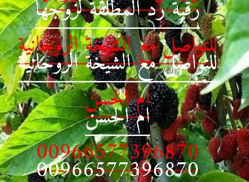 رد الزوجه وسحر الاهل لسيطرة عل الطرفين