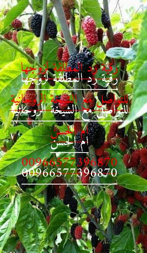 رد الزوجه وسحر الاهل لسيطرة عل الطرفين