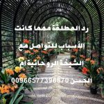 اعمال روحانيه لرد الزوجه لزوجها في يوم واحد مجرب