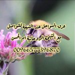 علاج انواع المس لزوجه بالدعاء 00966577396870